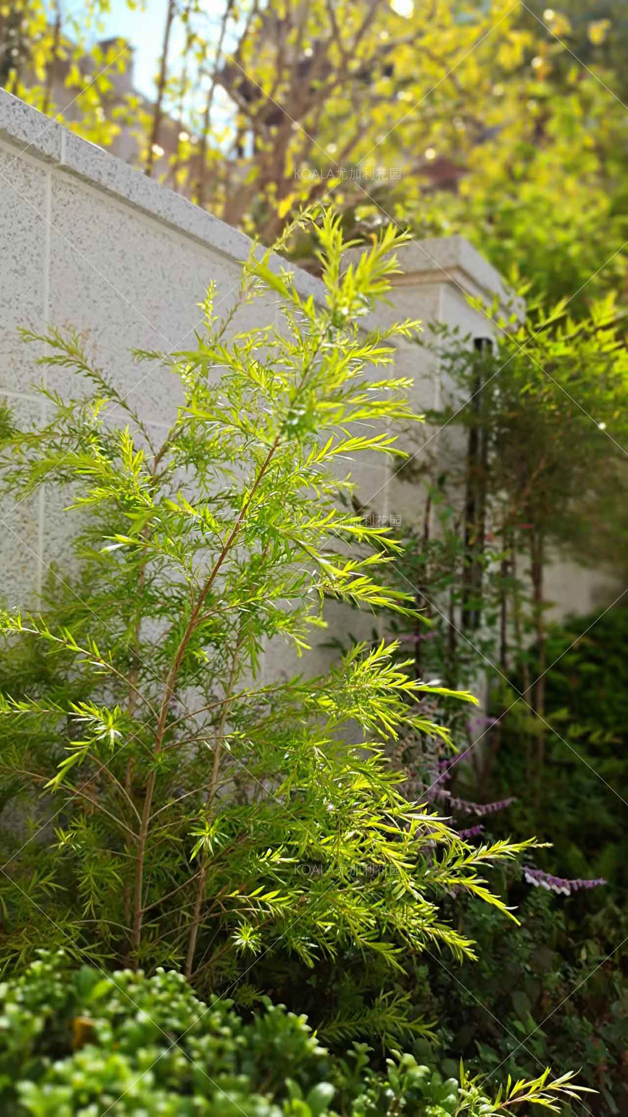 微信图片_20221027103949.jpg